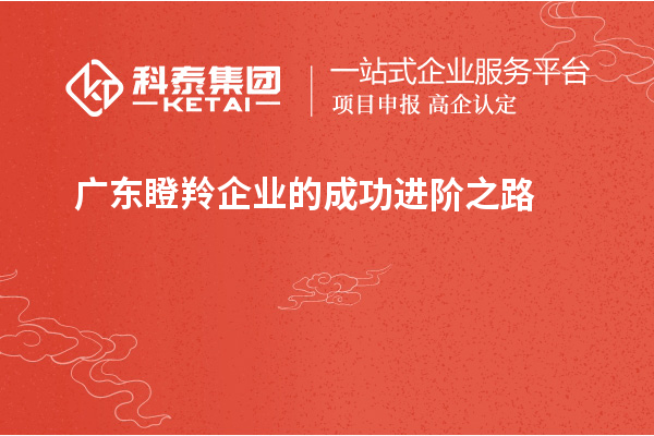 廣東瞪羚企業的成功進階之路