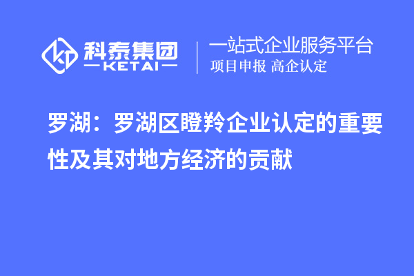 羅湖：羅湖區瞪羚企業認定的重要性及其對地方經濟的貢獻