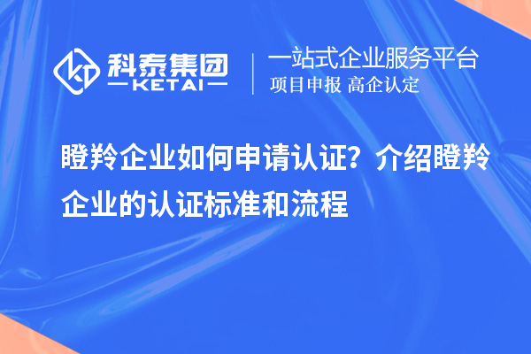 瞪羚企業(yè)如何申請(qǐng)認(rèn)證？介紹瞪羚企業(yè)的認(rèn)證標(biāo)準(zhǔn)和流程