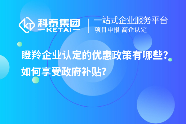 瞪羚企業認定的優惠政策有哪些？如何享受政府補貼？