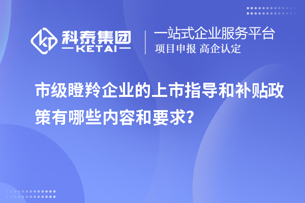 市級瞪羚企業的上市指導和補貼政策有哪些內容和要求？