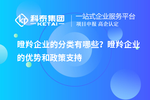 瞪羚企業的分類有哪些？瞪羚企業的優勢和政策支持