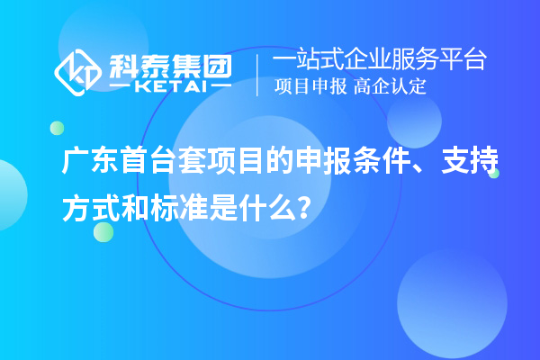 廣東首臺套項目的申報條件、支持方式和標準是什么？