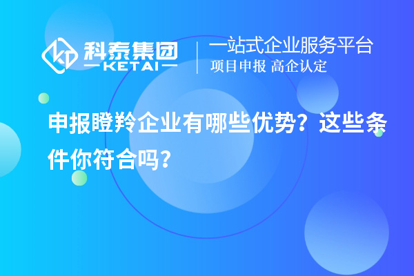 申報(bào)瞪羚企業(yè)有哪些優(yōu)勢？這些條件你符合嗎？
