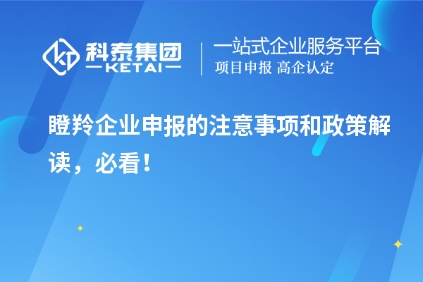 瞪羚企業(yè)申報(bào)的注意事項(xiàng)和政策解讀，必看！