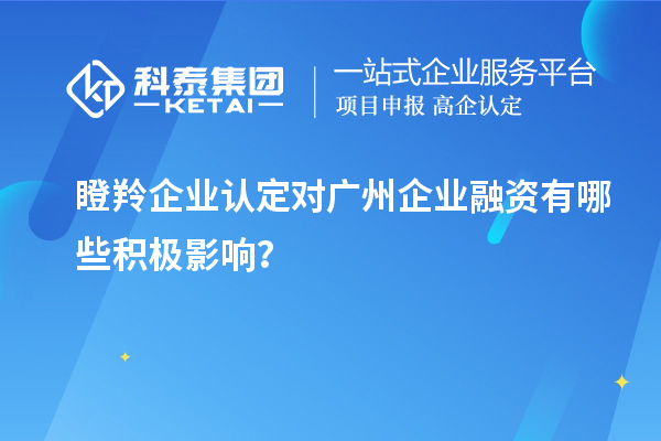 瞪羚企業認定對廣州企業融資有哪些積極影響？