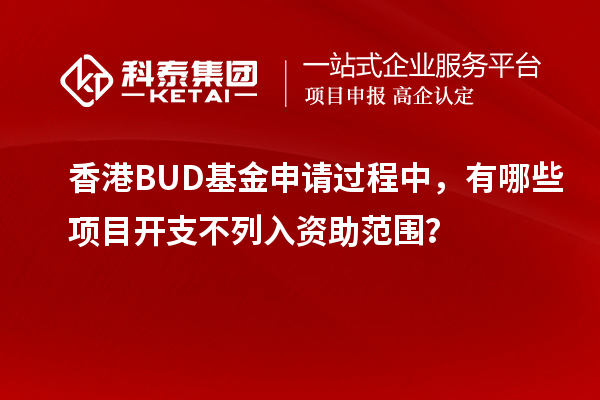 香港BUD基金申請過程中，有哪些項目開支不列入資助范圍？