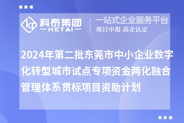 2024年第二批東莞市中小企業數字化轉型城市試點專項資金兩化融合管理體系貫標項目資助計劃