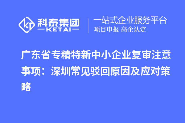 廣東省專精特新中小企業復審注意事項:深圳常見駁回原因及應對策略