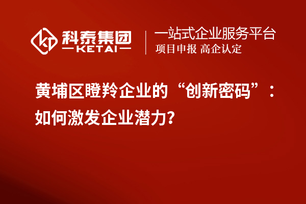 黃埔區(qū)瞪羚企業(yè)的“創(chuàng)新密碼”：如何激發(fā)企業(yè)潛力？