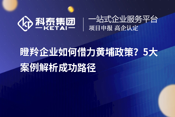 瞪羚企業(yè)如何借力黃埔政策？5大案例解析成功路徑