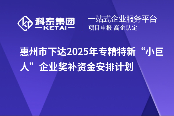 惠州市下達(dá)2025年專精特新“小巨人”企業(yè)獎(jiǎng)補(bǔ)資金安排計(jì)劃
