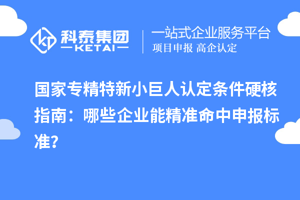 國(guó)家專(zhuān)精特新小巨人認(rèn)定條件硬核指南：哪些企業(yè)能精準(zhǔn)命中申報(bào)標(biāo)準(zhǔn)？