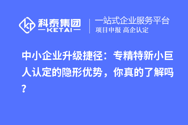 中小企業升級捷徑：專精特新小巨人認定的隱形優勢，你真的了解嗎？