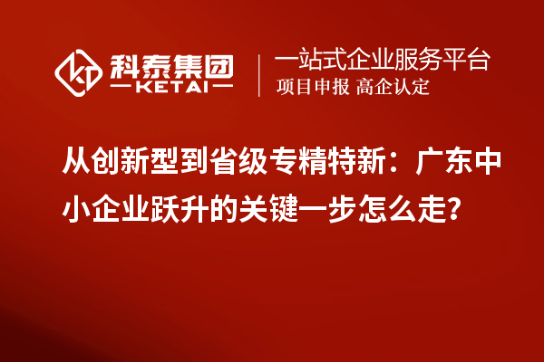 從創(chuàng)新型到省級專精特新：廣東中小企業(yè)躍升的關(guān)鍵一步怎么走？