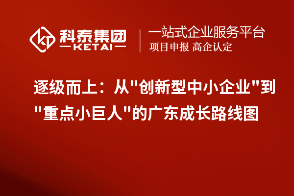 逐級而上：從"創新型中小企業"到"重點小巨人"的廣東成長路線圖