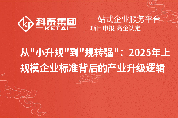 從"小升規(guī)"到"規(guī)轉(zhuǎn)強(qiáng)"：2025年上規(guī)模企業(yè)標(biāo)準(zhǔn)背后的產(chǎn)業(yè)升級(jí)邏輯