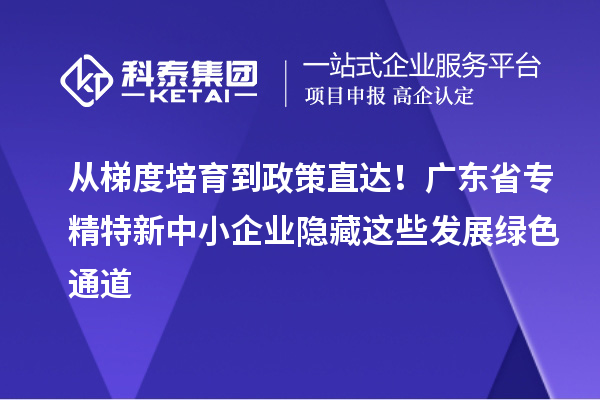 從梯度培育到政策直達！廣東省專精特新中小企業(yè)隱藏這些發(fā)展綠色通道