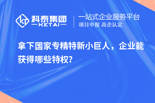 拿下國(guó)家專精特新小巨人，企業(yè)能獲得哪些特權(quán)？