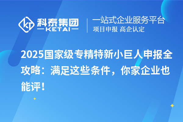  2025國(guó)家級(jí)專精特新小巨人申報(bào)全攻略：滿足這些條件，你家企業(yè)也能評(píng)！