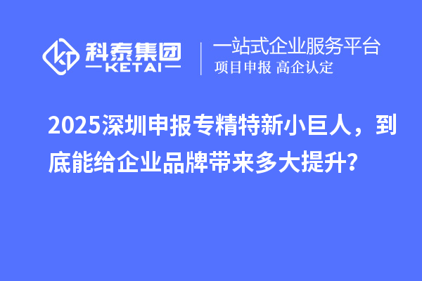  2025深圳申報(bào)專精特新小巨人，到底能給企業(yè)品牌帶來多大提升？