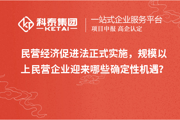 民營經濟促進法正式實施，規模以上民營企業迎來哪些確定性機遇？
