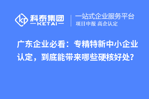廣東企業(yè)必看：專精特新中小企業(yè)認(rèn)定，到底能帶來哪些硬核好處？
